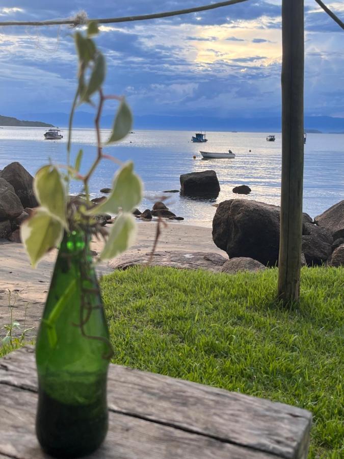 Fauna Praia do Bananal Exterior photo